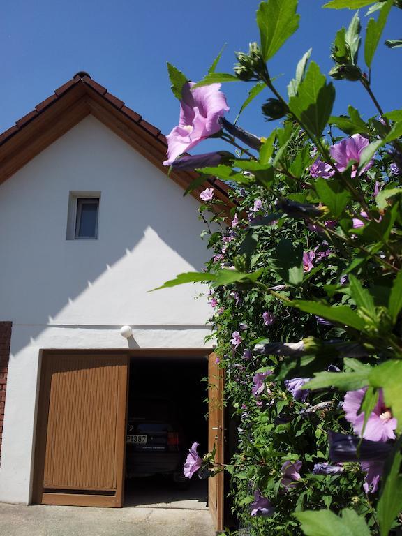 Antal Apartmanok Zalakaros Zewnętrze zdjęcie