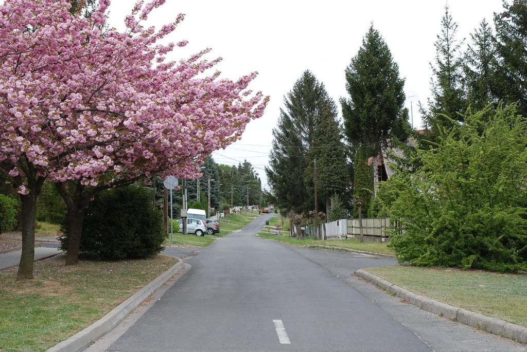 Antal Apartmanok Zalakaros Zewnętrze zdjęcie